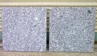 White Grain Granite (Белый гранит зерна)